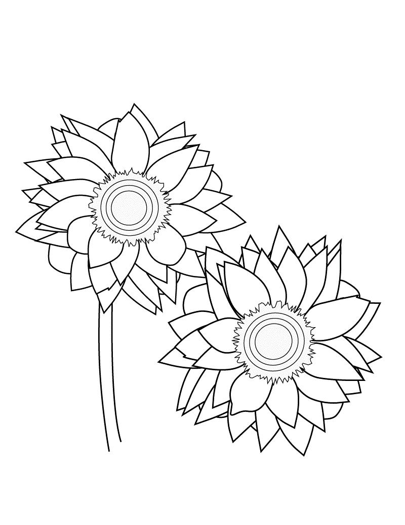 Plansa de colorat cu Primavara 53 79